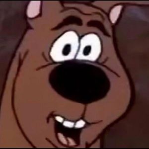 Meet your Posher, carlos